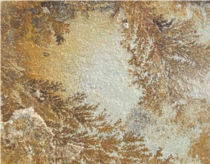 Fossil Mint Sandstone Slabs & Tiles, India Beige Sandstone