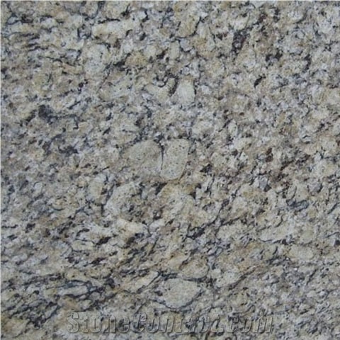 Giallo Arabescato Granite,Amarello Arabesco Granite Slabs & Tiles ...