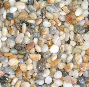 Natural Stone Multicolor Pebble Stone Polished