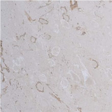 Fossil Limestone Tiles, Slabs