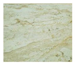 Filetto Hassana Limestone Slabs & Tiles