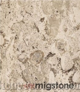 Aurisina Fiorita Lumachella Limestone Tiles, Italy Beige Limestone