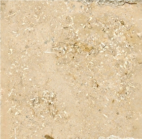 Jura Beige Golden Limestone
