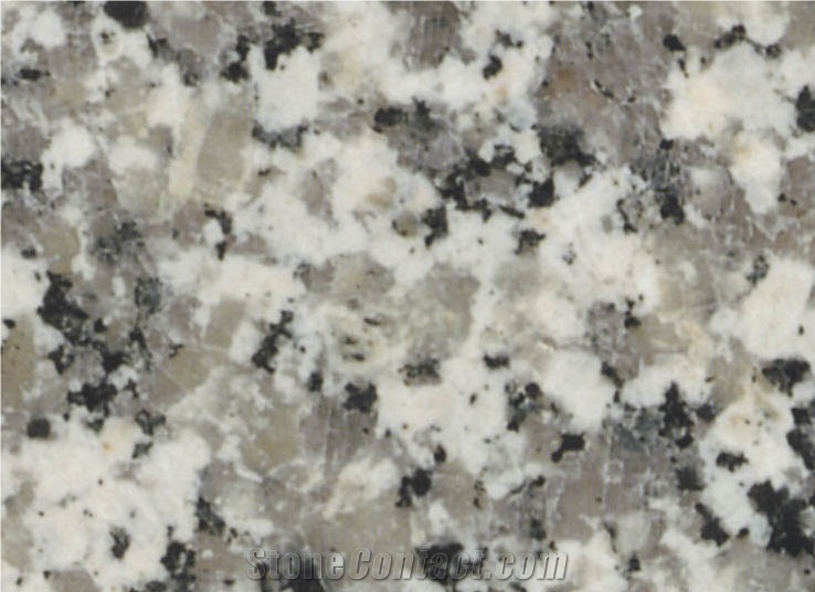 Bianco Sardo Luna Granite