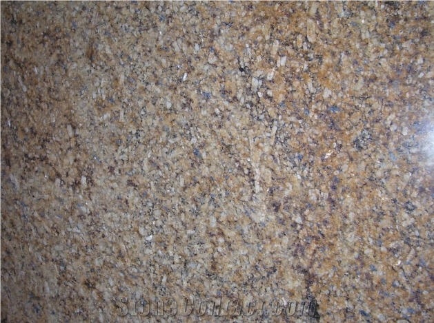 Giallo Vita Granite Slabs & Tiles