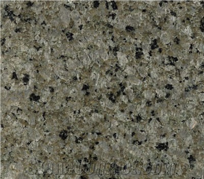 Australia Forest Green Granite Slabs & Tiles
