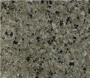 Australia Forest Green Granite Slabs & Tiles