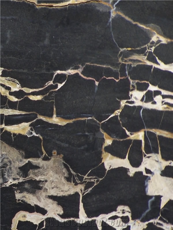 Austral Gold Black Marble