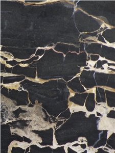 Austral Gold Black Marble