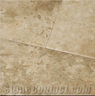 Jerusalem Grey Limestone Floor Tile, Israel Grey Limestone