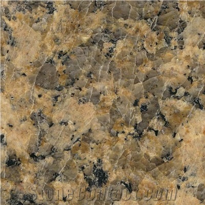 Giallo Fiorito Granite, Countertops