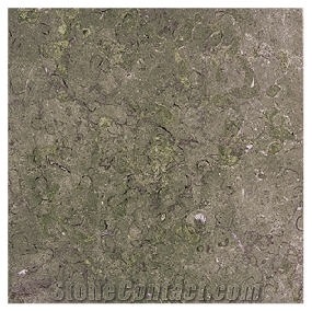 Jericho Gray Limestone Slabs & Tiles
