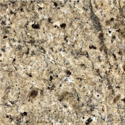 New Venezian Gold Granite