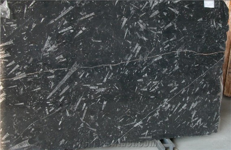 Black Fossil Marble Slabs from Italy - StoneContact.com