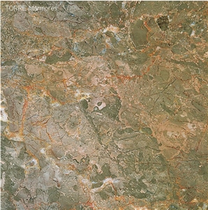 Brecha Tavira Limestone Slabs & Tiles
