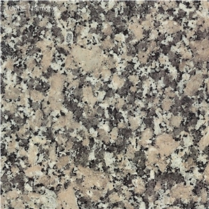 Cinza Mondariz Granite,Gris Mondariz Granite Slabs & Tiles,Spain Grey Granite