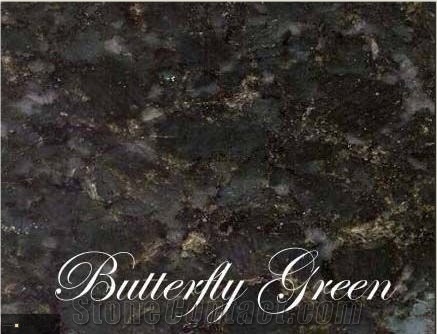 Verde Butterfly Green Granite Slab & Tile