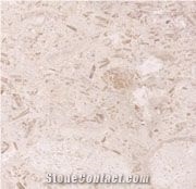 Lymra Fossil Limestone Slabs & Tiles