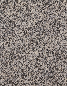 Gris Alba Granite Slabs & Tiles, Spain Grey Granite