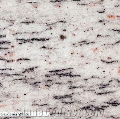 Gardenia White Granite Slabs & Tiles, United States White Granite