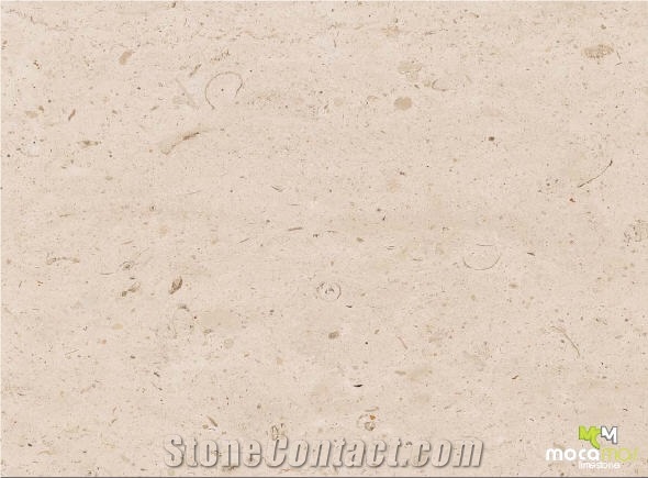 Atlantic Beige Limestone Slabs & Tiles