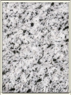 Bianco Halayeb Granite Slabs & Tiles, Egypt White from Egypt - StoneContact.com