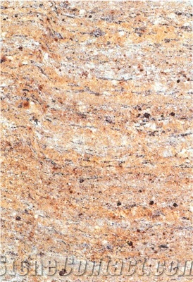 Shiva Gold Granite Slabs & Tiles, India Yellow Granite