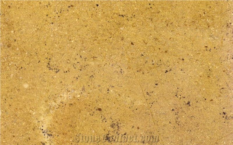 Arish Gold Limestone Slabs & Tiles, Egypt Yellow Limestone