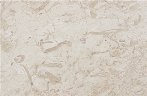 Jurassic Beige Marble Slabs & Tiles