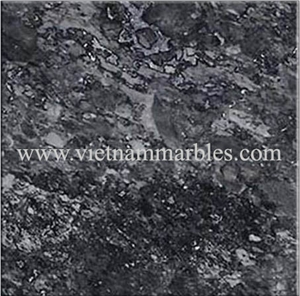 Black Vein Marble Slabs & Tiles, Viet Nam Black Marble