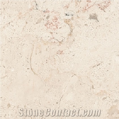Hebron White Limestone Slabs & Tiles, Israel White Limestone
