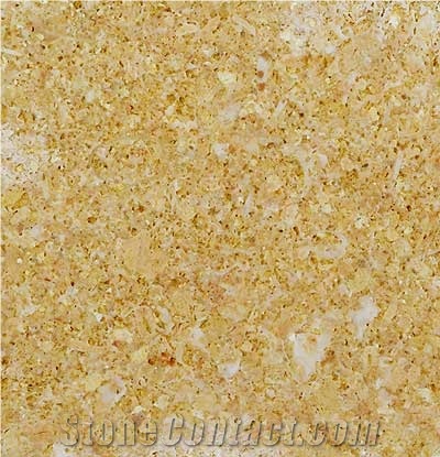 Amarillo Fosil Limestone Slabs & Tiles, Spain Yellow Limestone