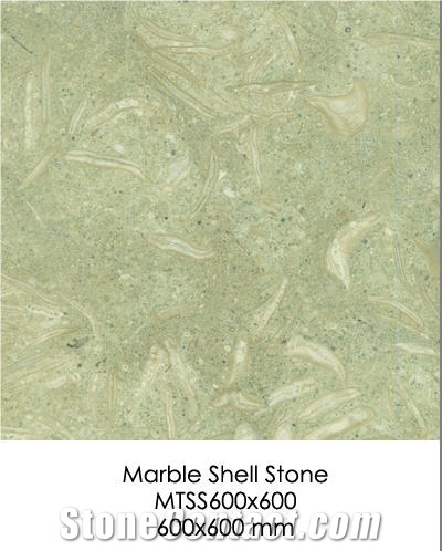 Shellstone - Marble Tile