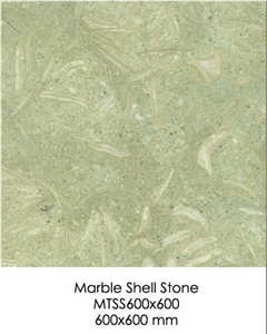 Shellstone - Marble Tile