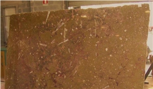 Brown Fossile Slabs, Fossile Brown Limestone