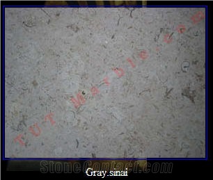 Gray Sinai Limestone Slabs & Tiles, Egypt Grey Limestone