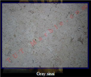 Gray Sinai Limestone Slabs & Tiles, Egypt Grey Limestone
