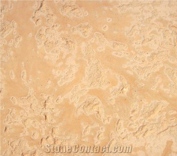 Coral Stone Tiles,Coral Stone Floor Tiles