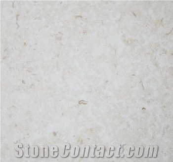 Marbella Shellstone Limestone Slabs & Tiles