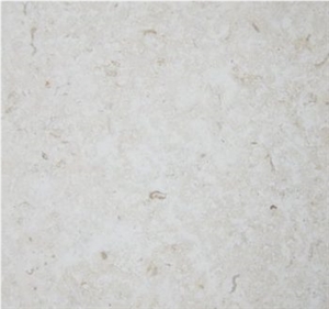 Marbella Shellstone Limestone Slabs & Tiles