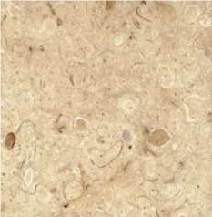Coquina Shellstone - Mexican Shell Stone