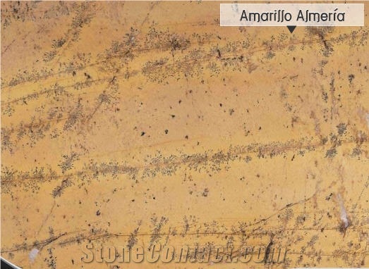 Amarillo Almeria Marble Slabs & Tiles, Spain Yellow Marble