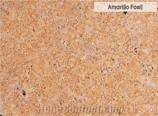 Amarillo Fosil Limestone Slabs&Tiles, Spain Yellow Limestone