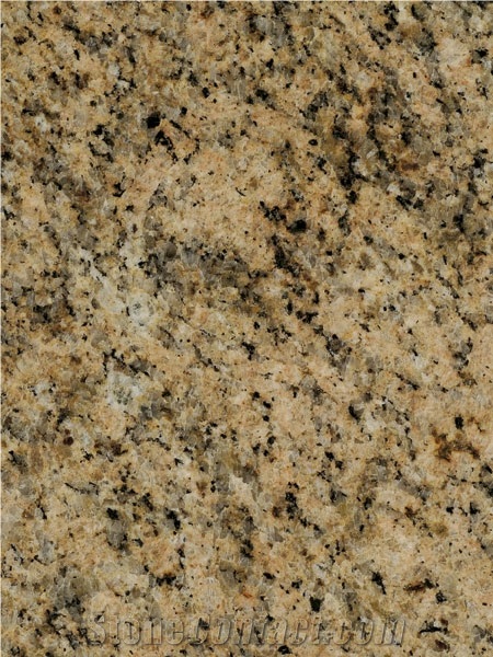 Amarillo Veneciano Granite Slabs & Tiles