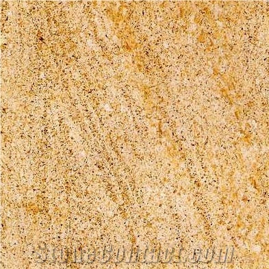 Amarillo Fossil Limestone Slabs