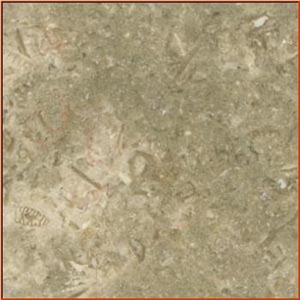 Jerusalem Gray Limestone Slabs & Tiles