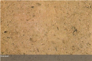 Sinai Pearl Dark Limestone Slabs & Tiles, Egypt Beige Limestone