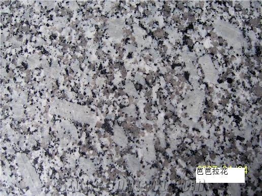 China Bala Flower Granite G-Blh297 Slabs & Tiles, China White Granite