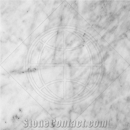 Avenza Marble Tile- White Marble