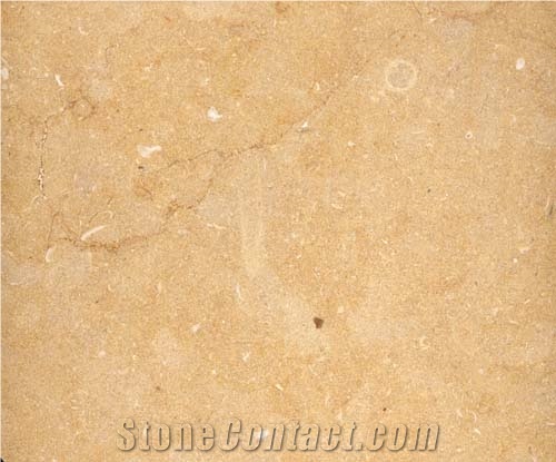 Halila Gold Limestone Slabs & Tiles, Israel Yellow Limestone